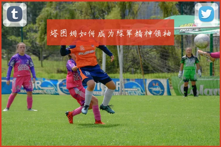 塔图姆如何成为绿军精神领袖
