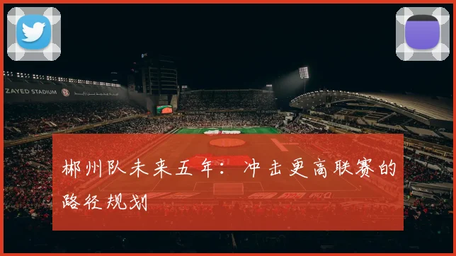 郴州队未来五年：冲击更高联赛的路径规划