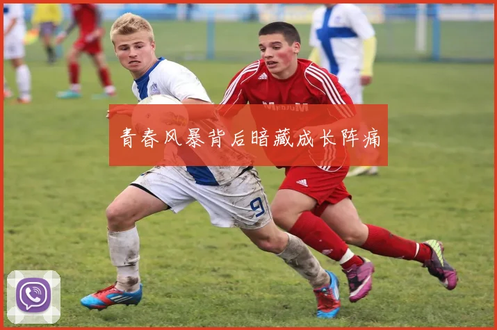 青春风暴背后暗藏成长阵痛