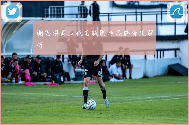 谢思埸商业代言版图与品牌价值解析