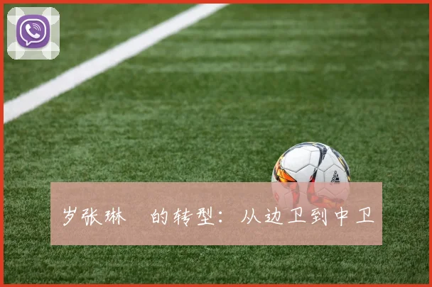 岁张琳芃的转型：从边卫到中卫